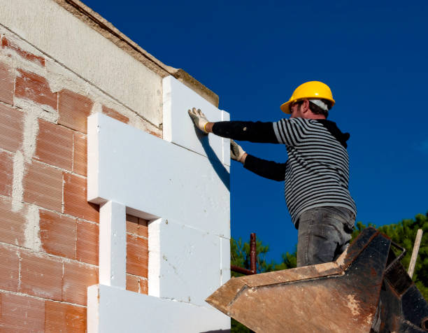 Best Types of Insulation in Albion, IL