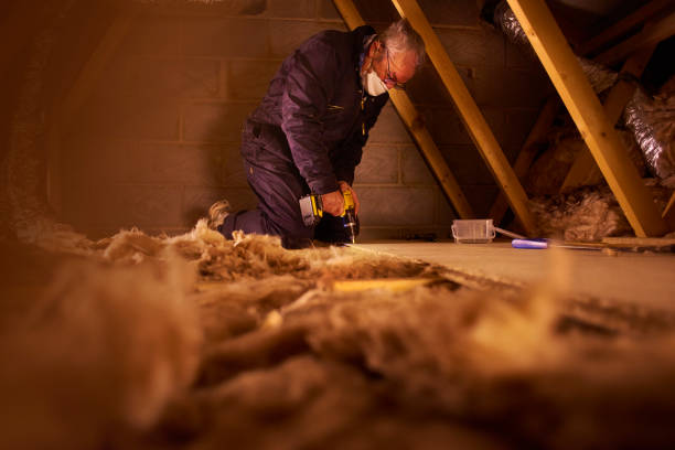 Best Insulation Installation Services in Albion, IL